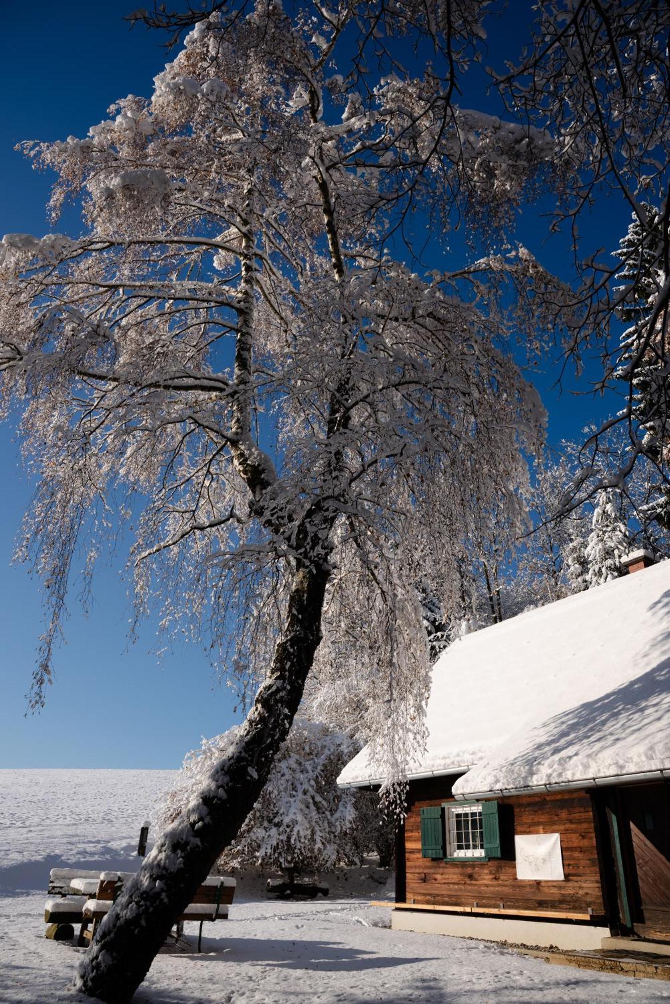 Gregor'S Ferienhaus Im Wald Edelschrott Exterior photo